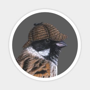 Common reed bunting Magnet